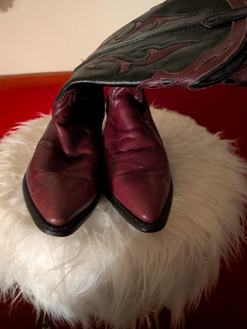 Dingo Burgundy and Black Western Heeled Boots